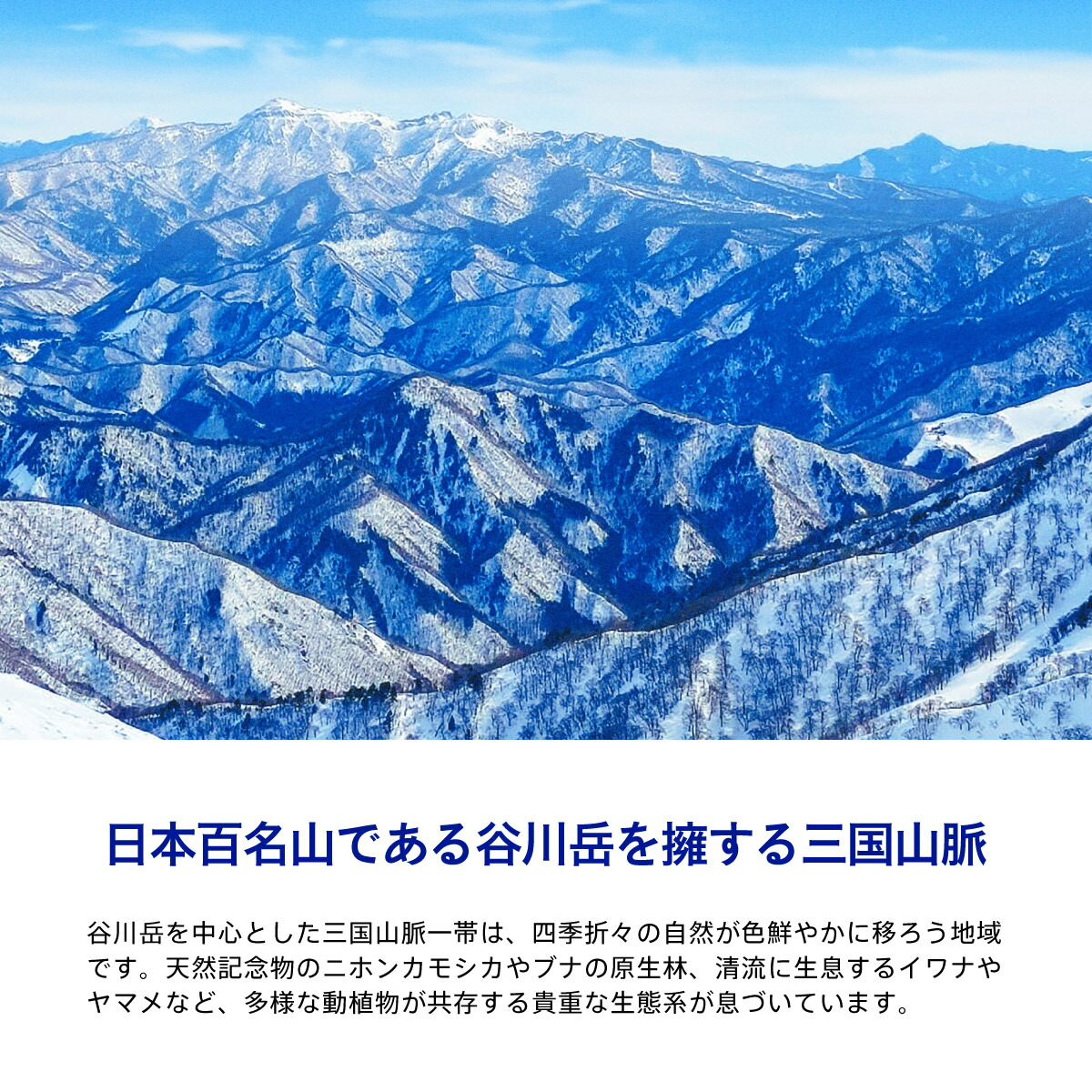 雪をかぶった三国山脈の山並みの写真と、谷川岳の説明